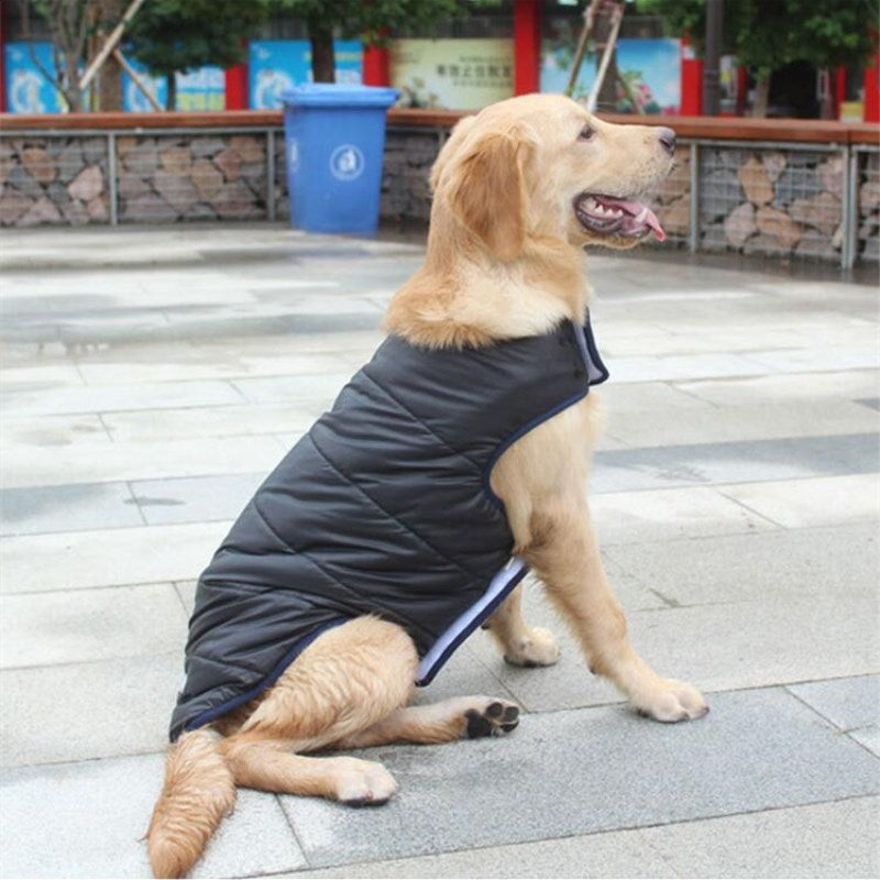 Winter Cotton Dog Coat