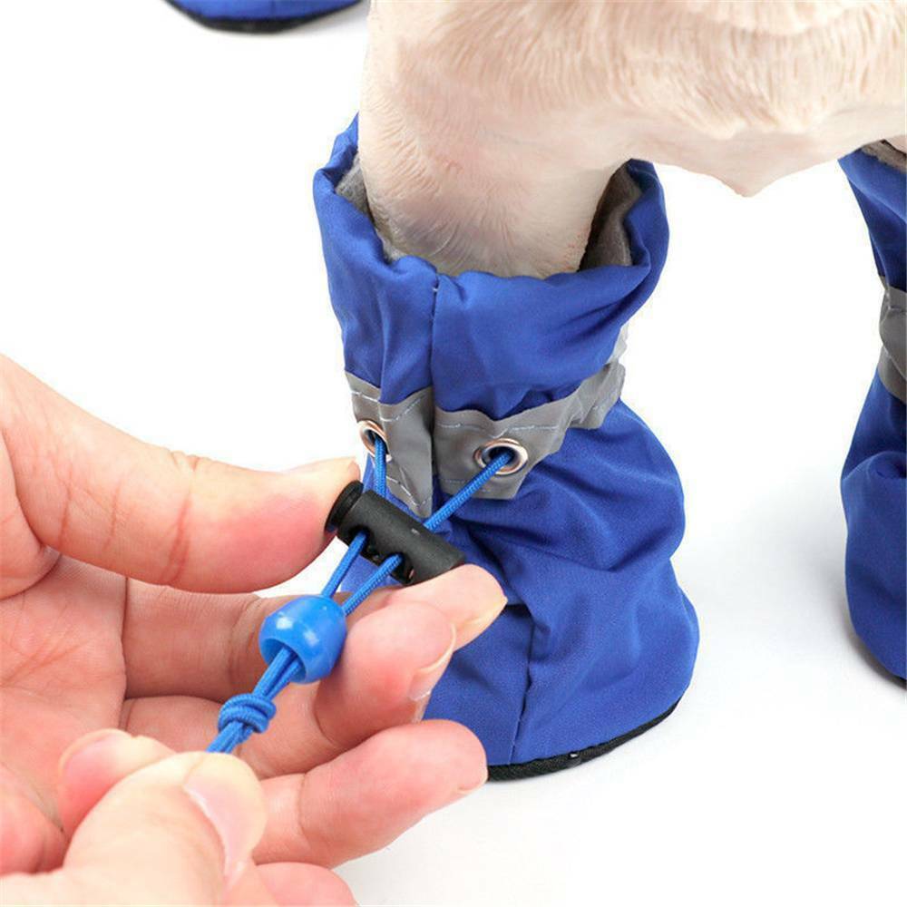 Breathable Pet Dog Shoes And Socks