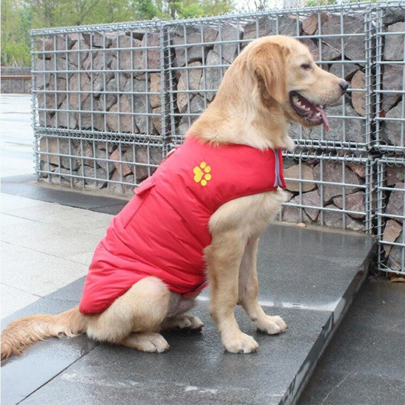 Winter Cotton Dog Coat