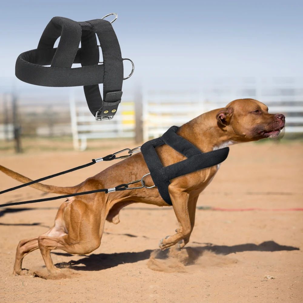 Soft Padded Dog Weight-Pulling Harness