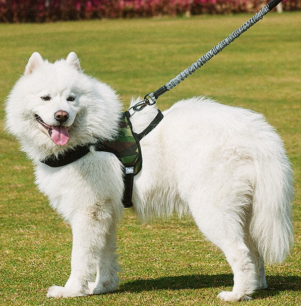 Dog Chest Harness with Leash