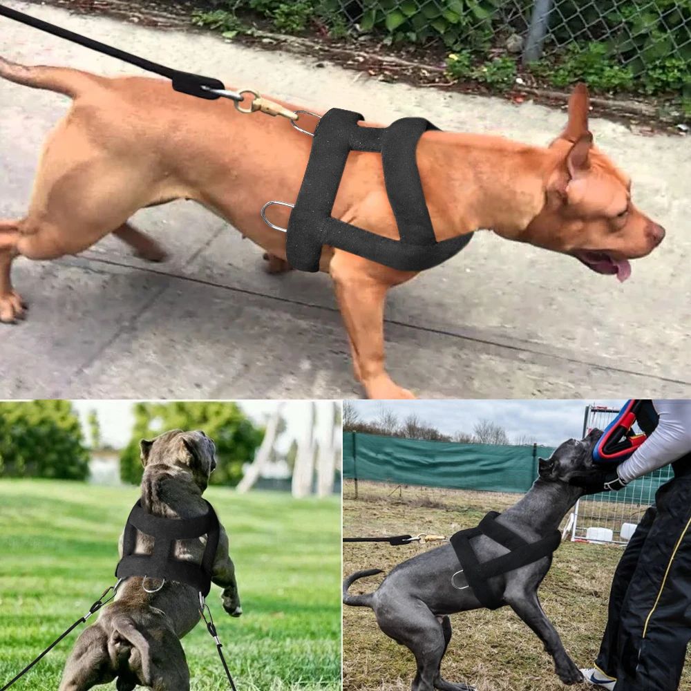 Soft Padded Dog Weight-Pulling Harness