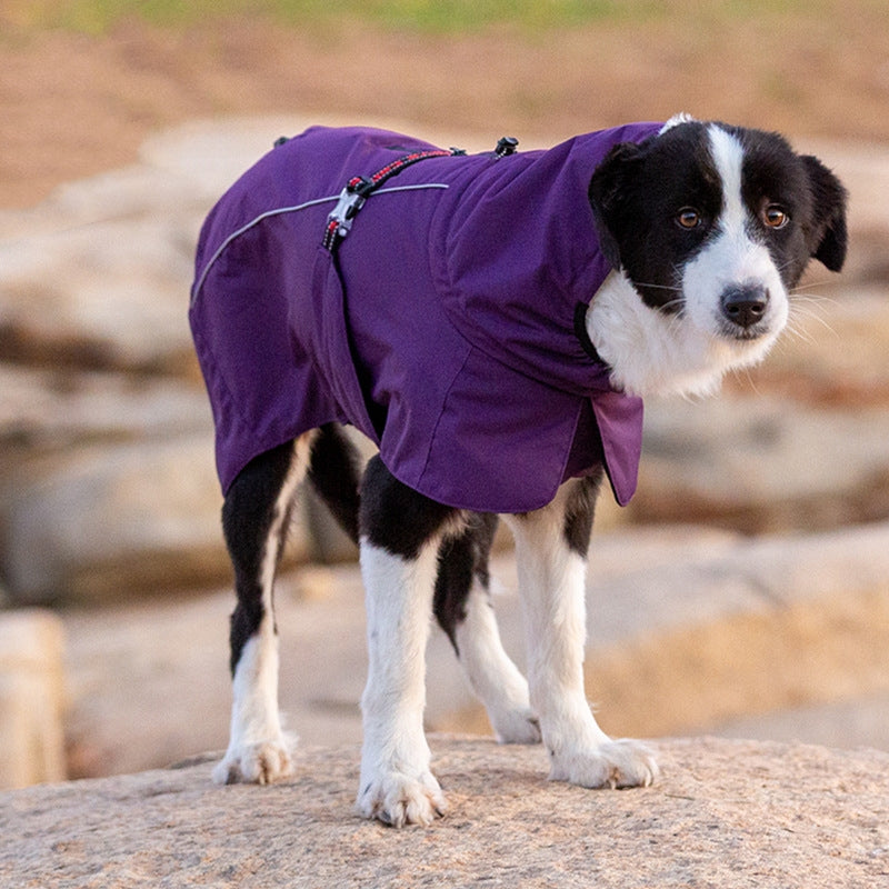 Waterproof Velvet-Lined Winter Dog Coat